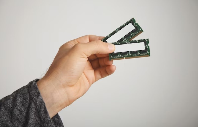 person hand holding ram