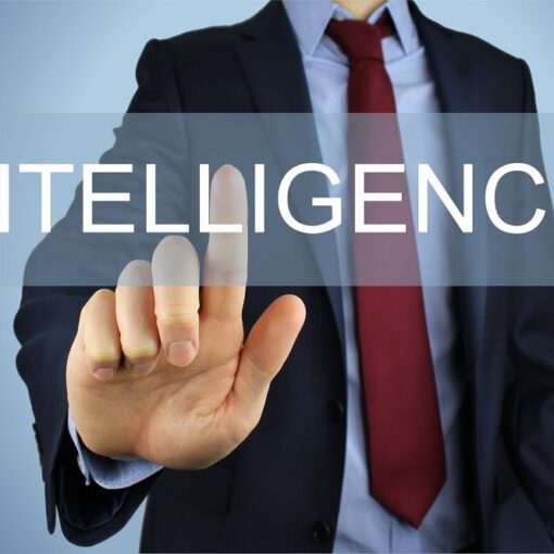 Business Intelligence